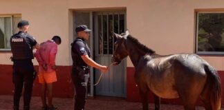 robo de caballo en Villa Bonita