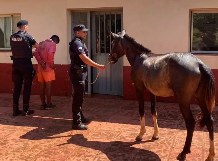 robo de caballo en Villa Bonita