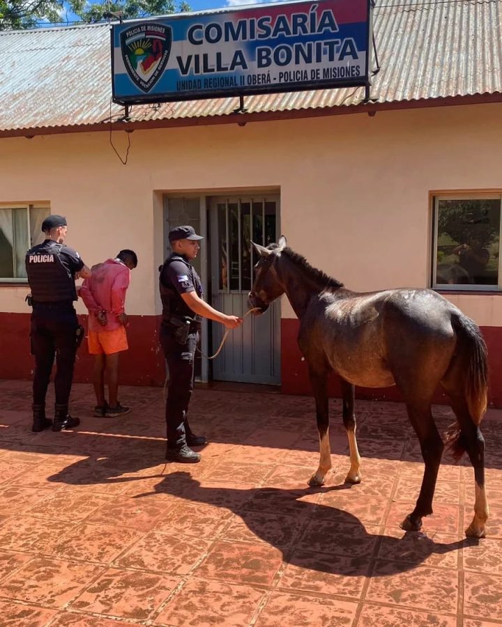 robo de caballo villa bonita 2 - 3