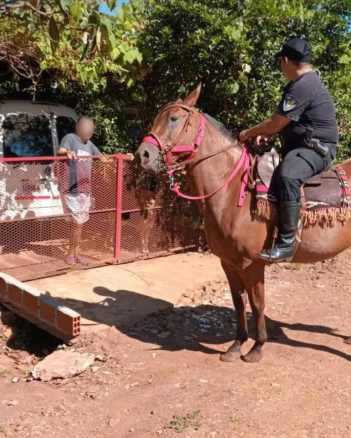 robo de caballo villa bonita 3 - 5