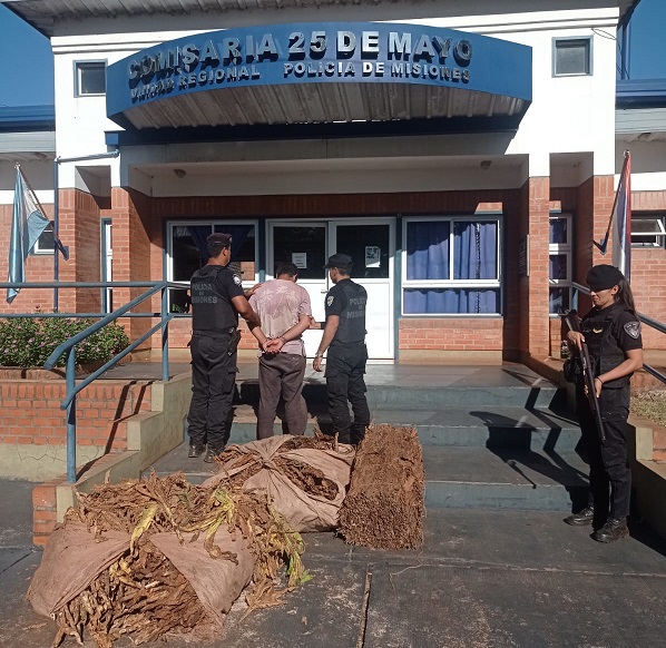 Detuvieron a un hombre que le robó 200 kilos de hojas de tabaco a un colono en 25 de Mayo