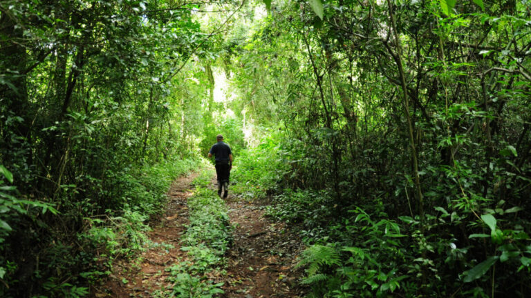 Caminatas guiadas por el Moconá, una opción para conectarse con la naturaleza
