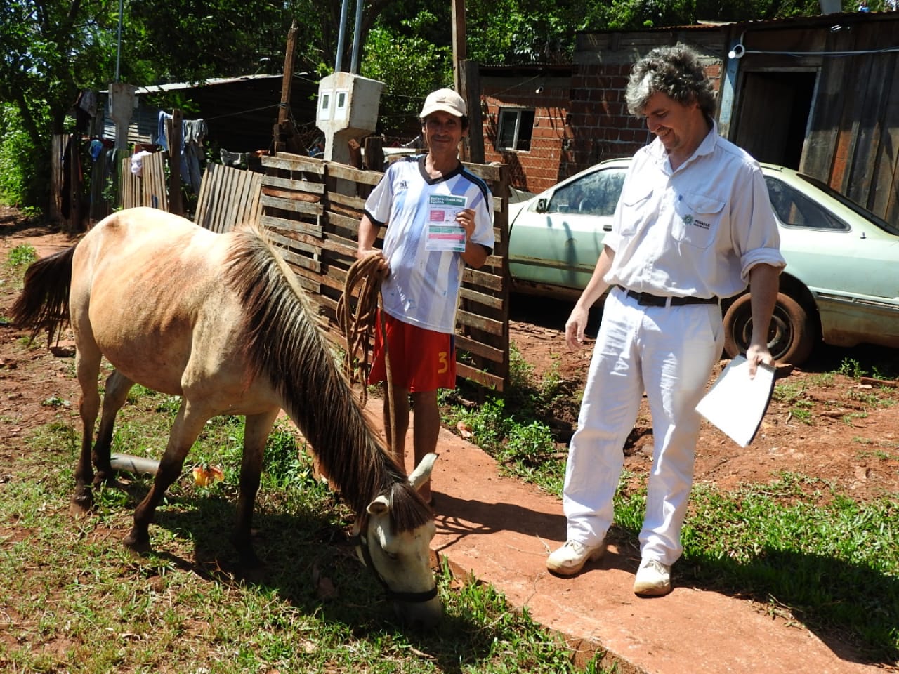 En conjunto con el Senasa Posadas avanza en la prevencion de la encefalomielitis equina 2 - 5