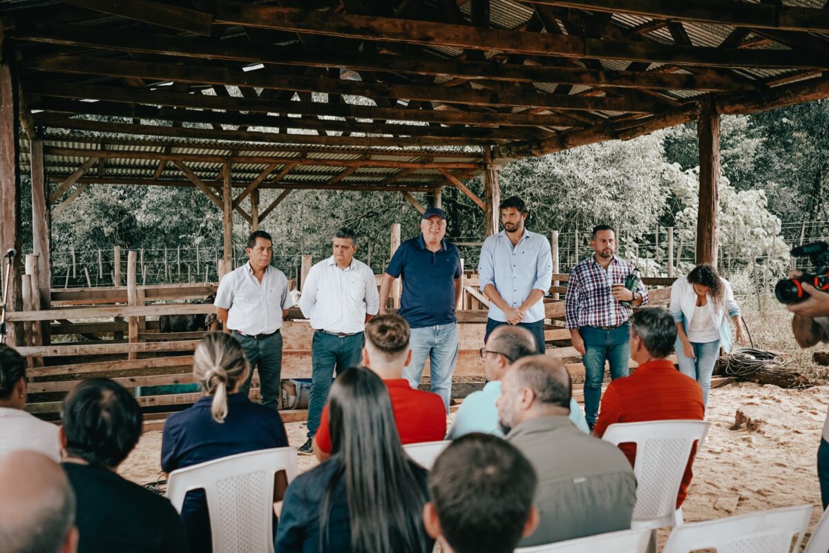 Misiones invirtió $50 millones en genética para fortalecer las cuencas lecheras y la actividad ovina