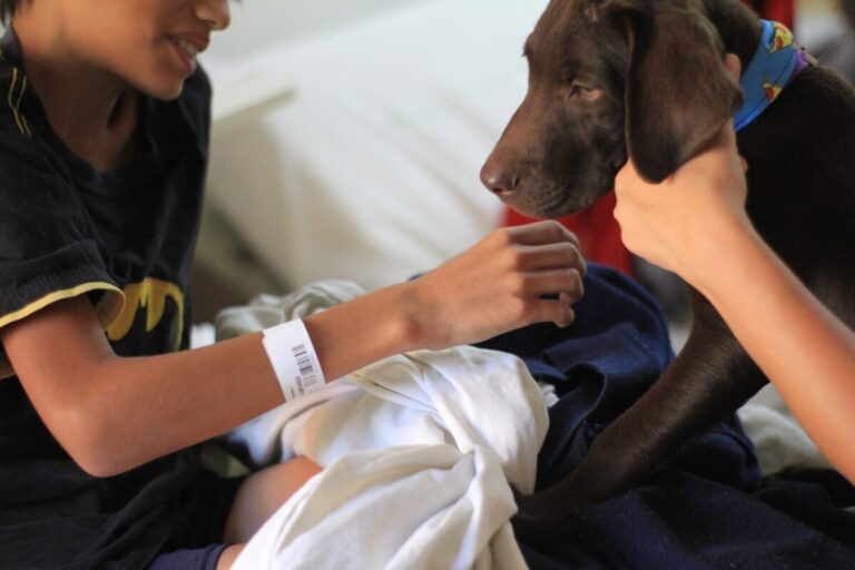 Nueva jornada de terapia asistida con animales en el Hospital Pediátrico de Posadas
