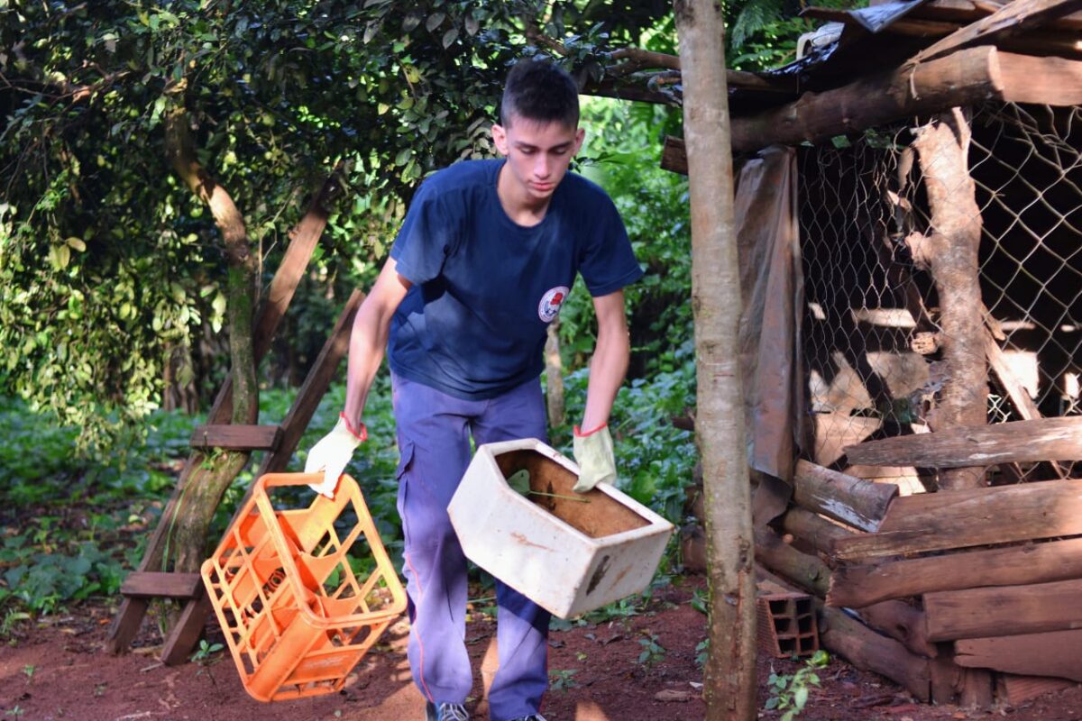 Continúan las acciones de detección y prevención del dengue en Misiones