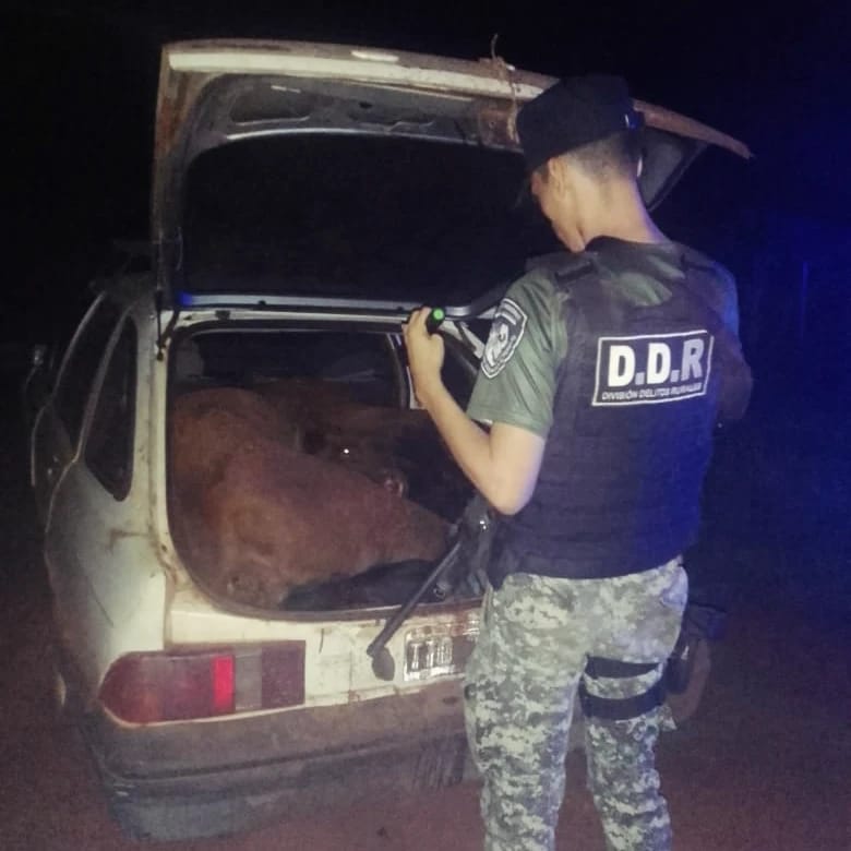 Operativos rurales permitieron recuperar una camioneta robada y carne faenada en dos localidades