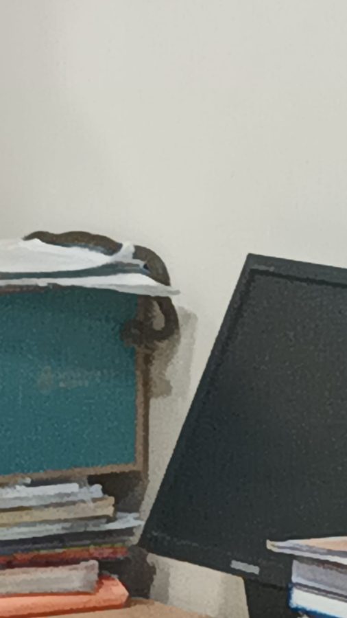 WhatsApp Image 2024 02 27 at 10.32.53 - 3