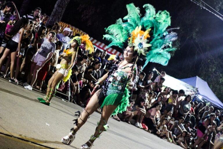 Unas 20 mil personas presenciaron los carnavales posadeños