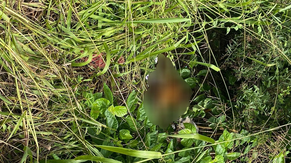 Hallaron en Posadas el cuerpo de un hombre sin vida en un terreno baldío e investigan el hecho