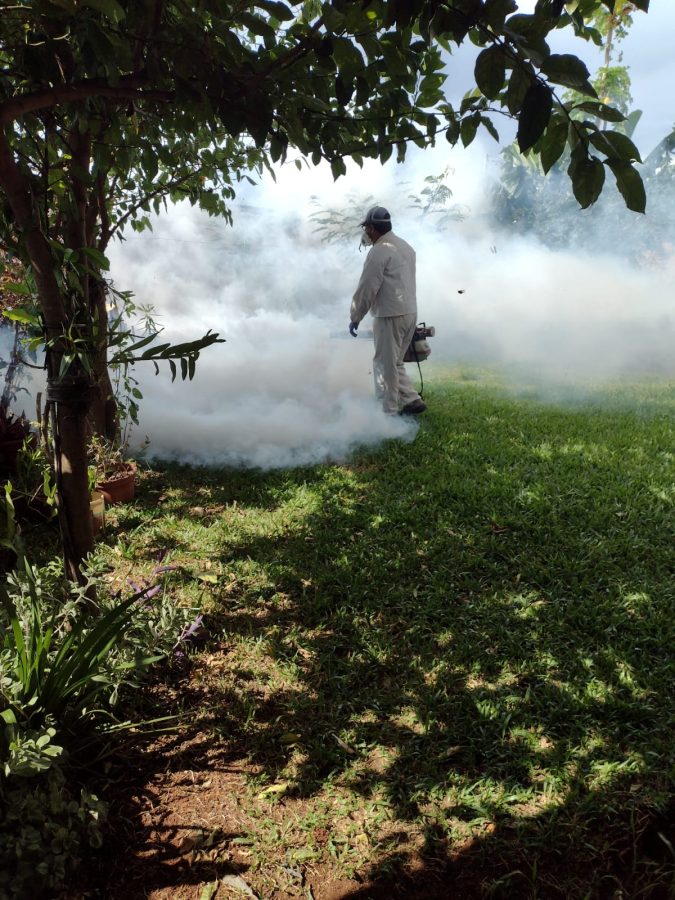 dengue 1 1 - 1