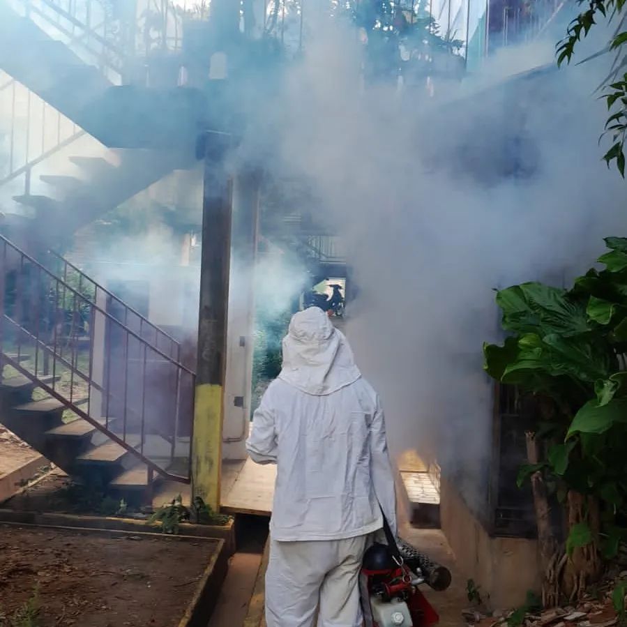 Lucha contra el dengue: continúan los operativos diarios en Posadas