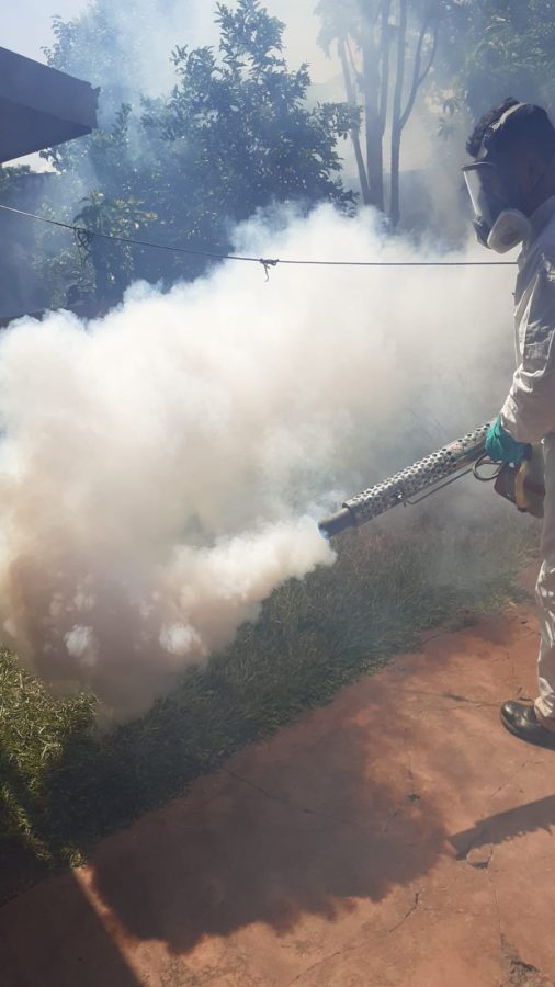 dengue 3 1 - 5
