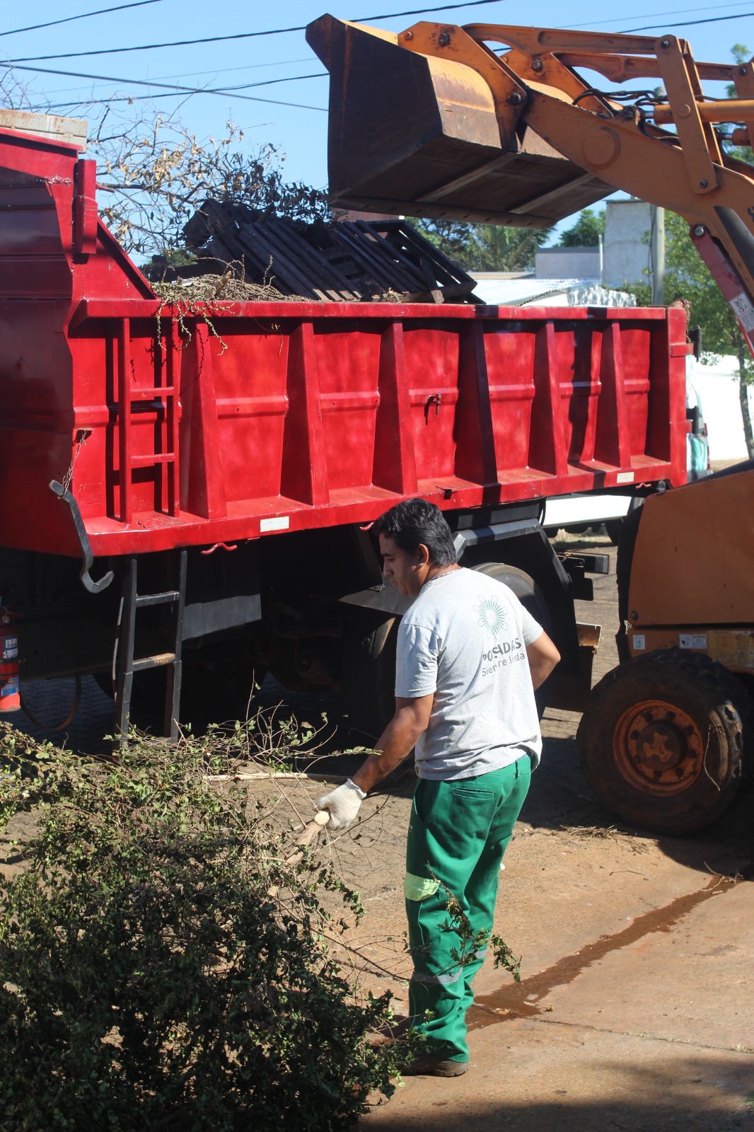 Lucha contra el dengue: continúan los operativos diarios en Posadas