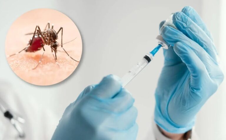 dengue vacuna brasilera