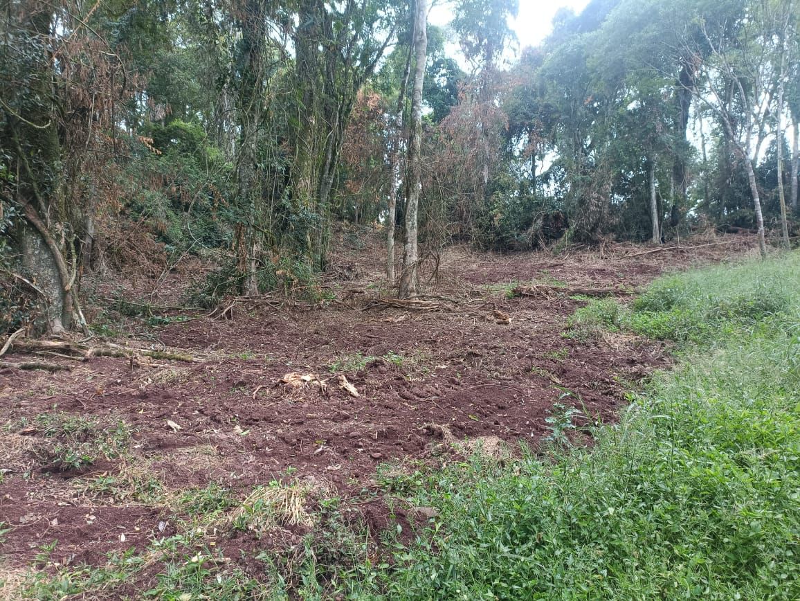 Ecología frenó una actividad de cambio ilegal de uso de suelo en las afueras de Fracrán