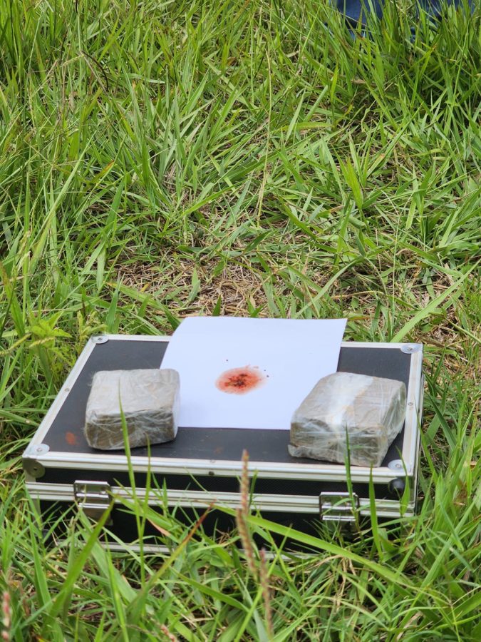 eldorado marihuana 4 - 7