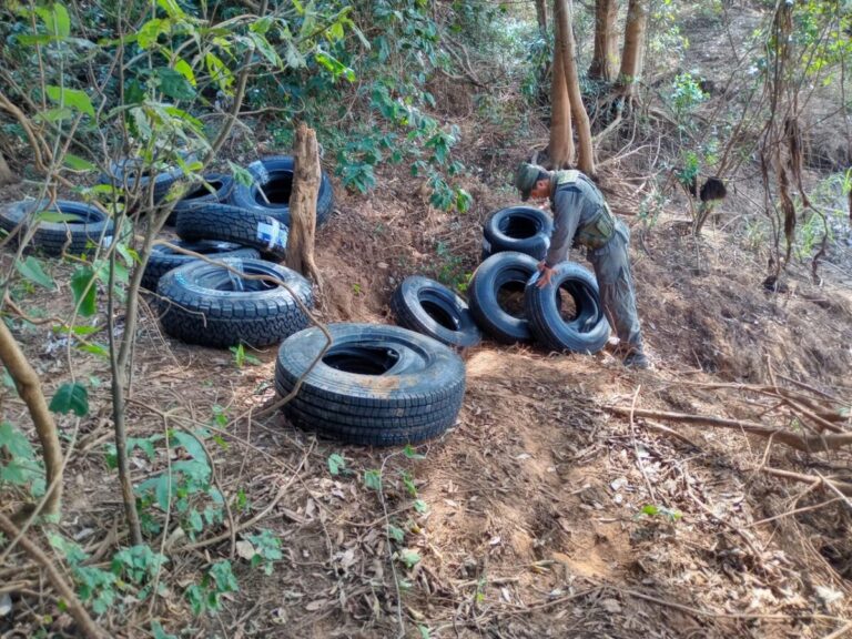 San Ignacio: secuestraron neumáticos ilegales valudados en casi $4 millones