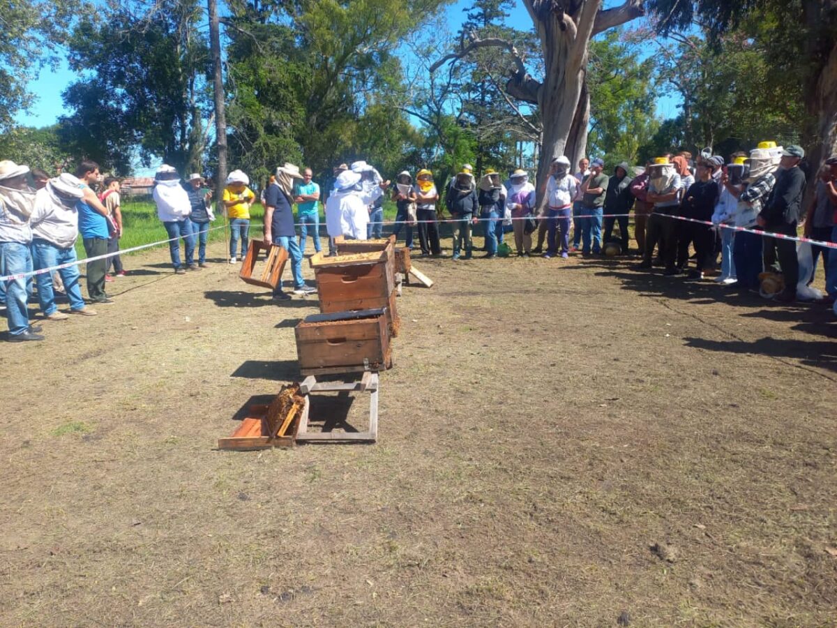 Destacada participacion de Misiones en el concurso internacional Expo Macia 2024 3 - 3
