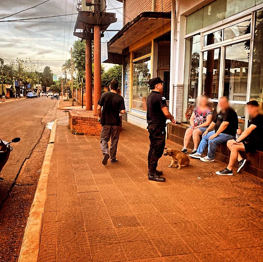 IMG 20240302 WA0010 - 9