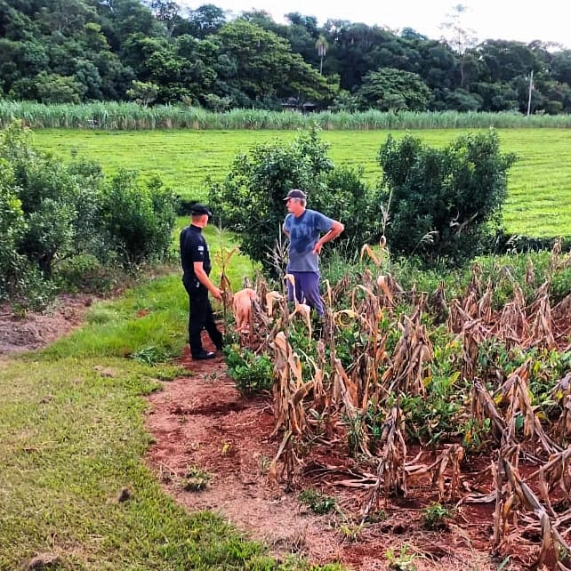 IMG 20240302 WA0011 - 3