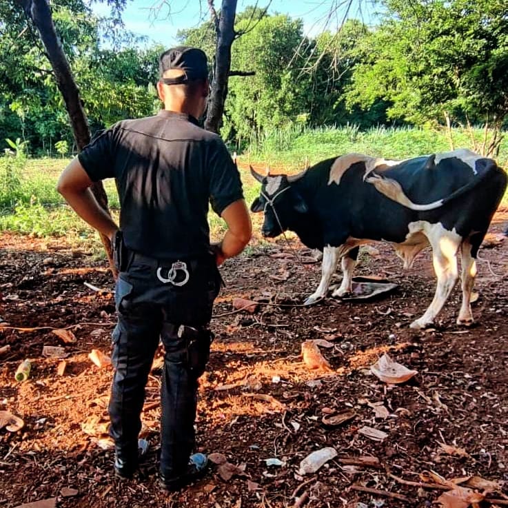 IMG 20240317 WA0050 - 3