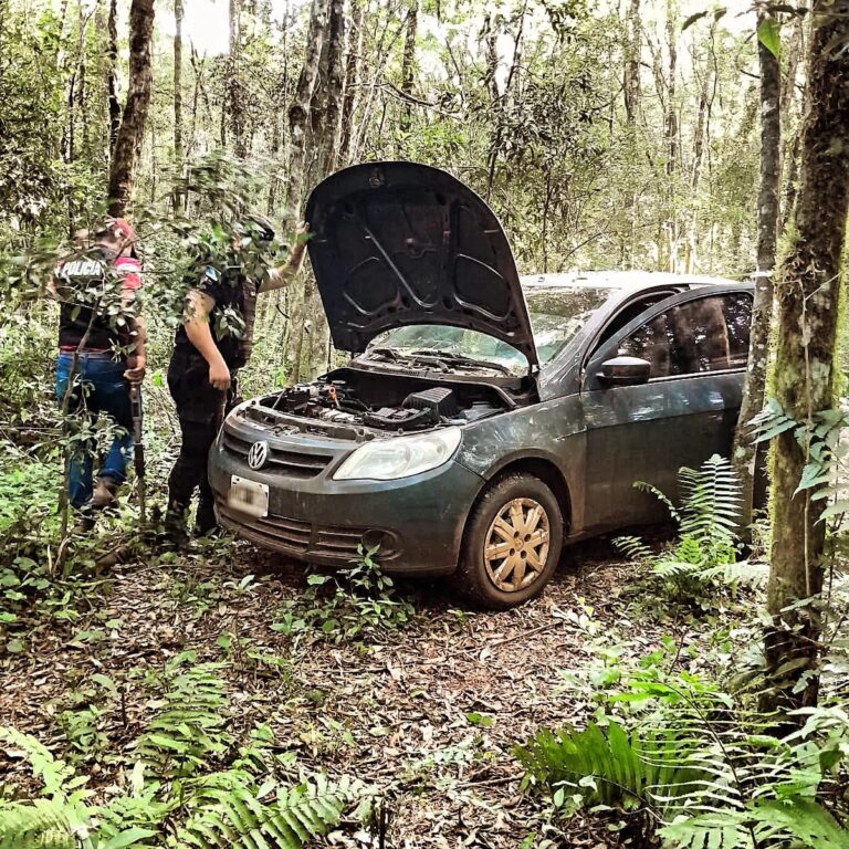 Inteligencia de frontera: detectaron un auto acondicionado para el narcotráfico en medio del monte