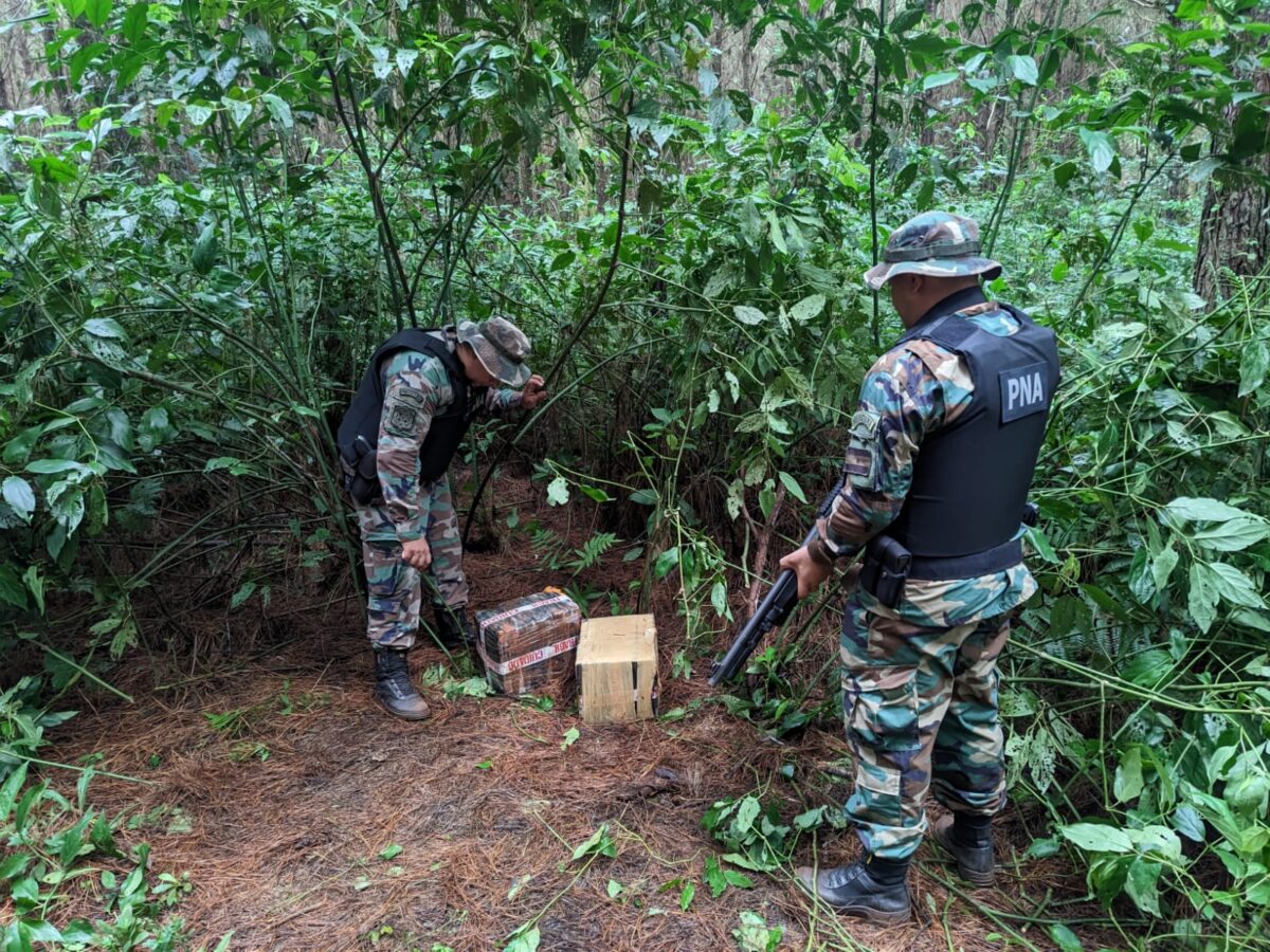 Prefectura incauto marihuana valuada en casi 100 millones en Wanda 1 - 3