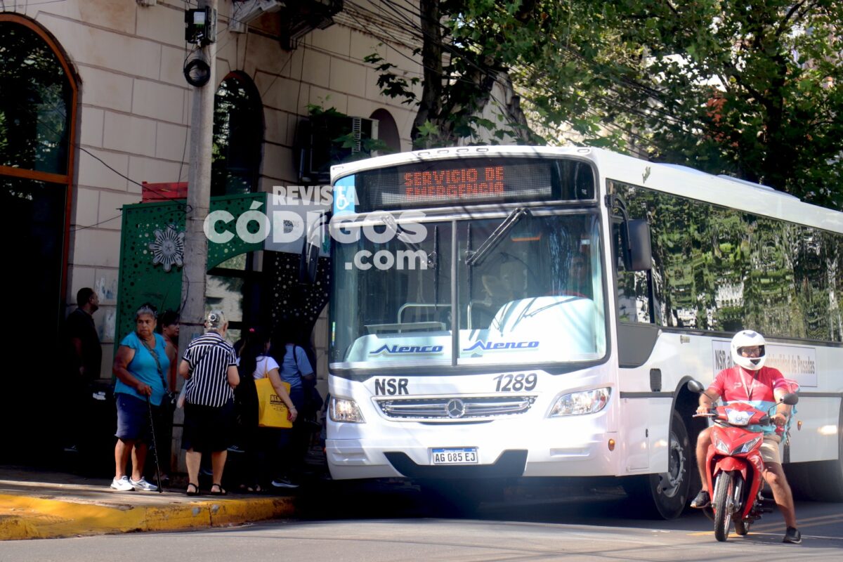 colectivos (1)