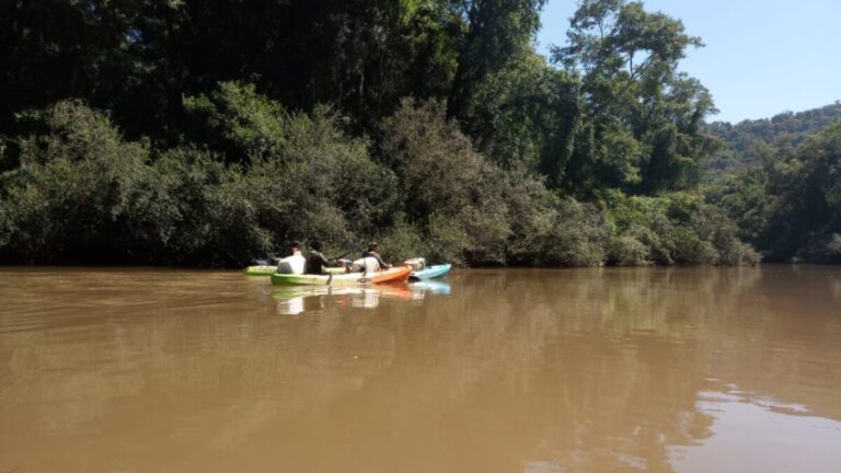 Ecología recorrió 60 kilómetros del arroyo Urugua-í para prevenir delitos ambientales