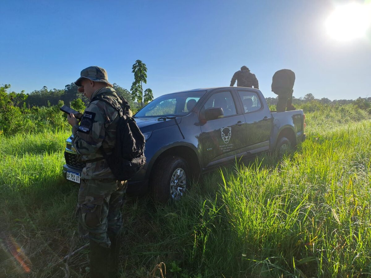 Destruyen estructuras de cazadores halladas en el Parque Provincial Urugua-í