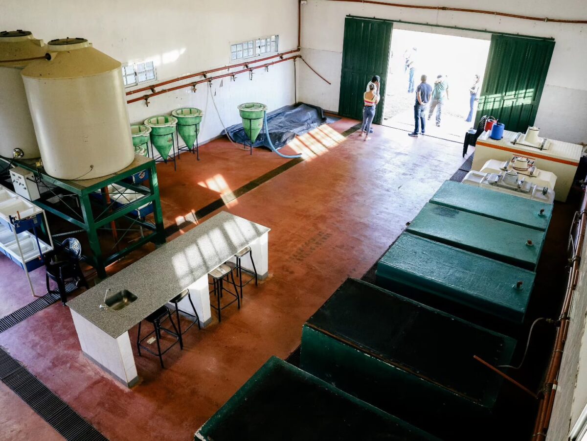 entrega de peces 1 - 3