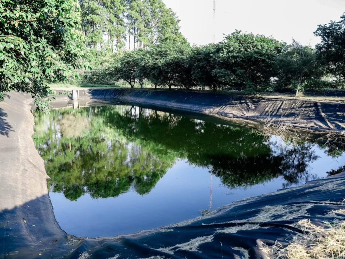 entrega de peces 3 - 7