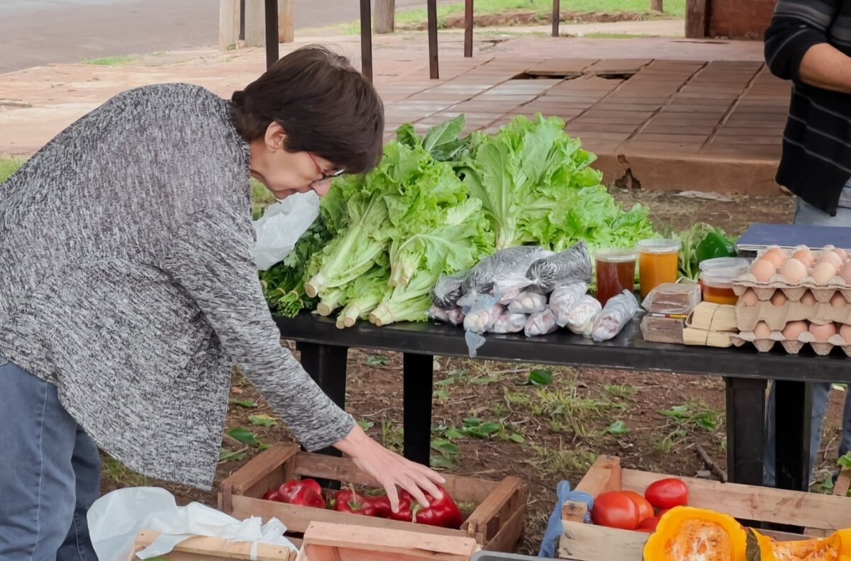 Realizan relevamiento en los productos de las ferias francas posadeñas