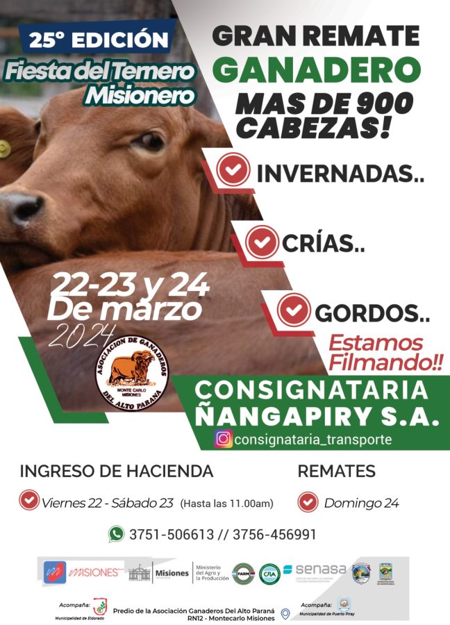 fiesta del ternero 1 - 1