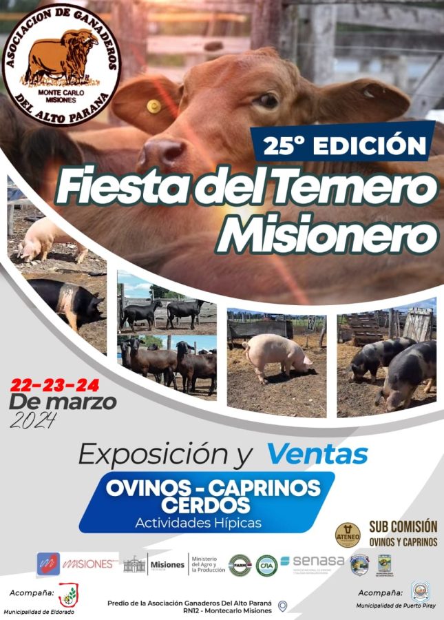fiesta del ternero 3 - 5