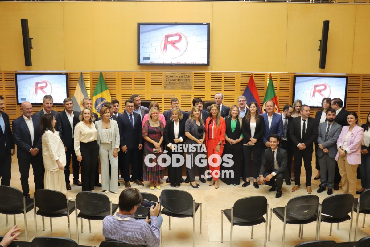Misiones y Rio Grande Do Sul elaboran una agenda legislativa conjunta para el devenir de la región