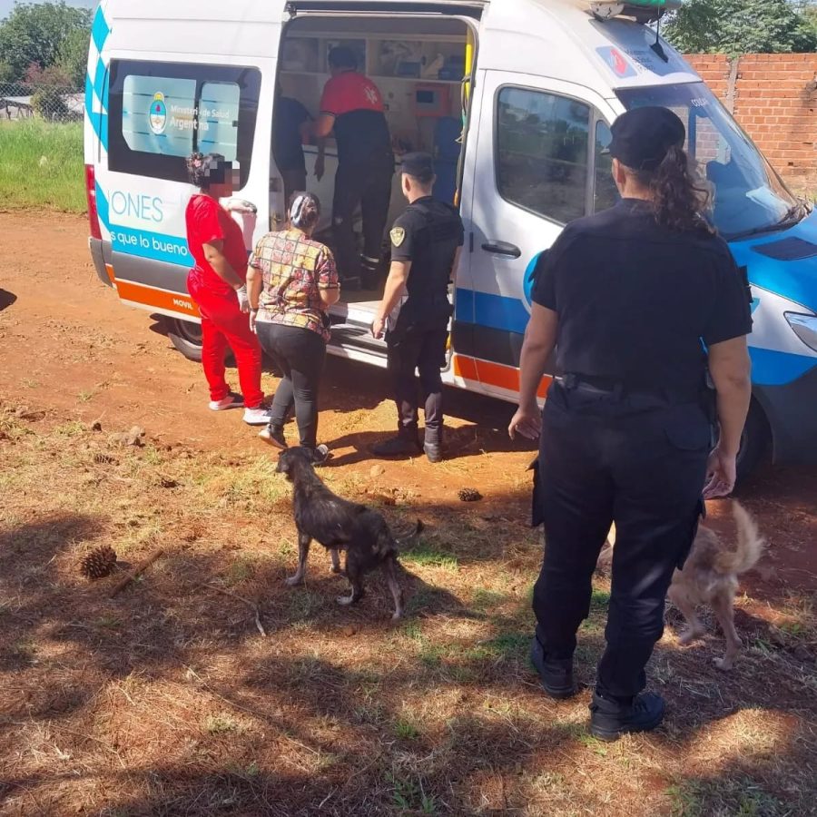 ola de calor atencion 1 - 1