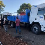 red de estafadores 4 - 13