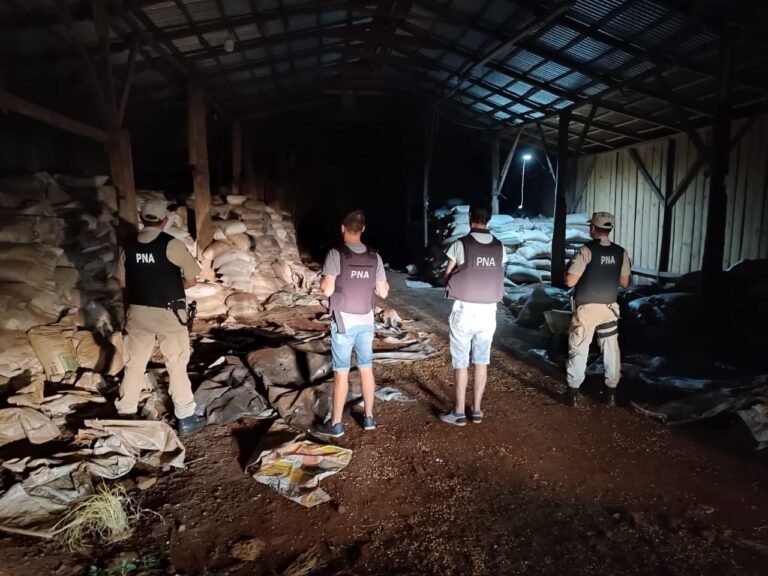Secuestraron 278 toneladas de soja ilegal en Alba Posse