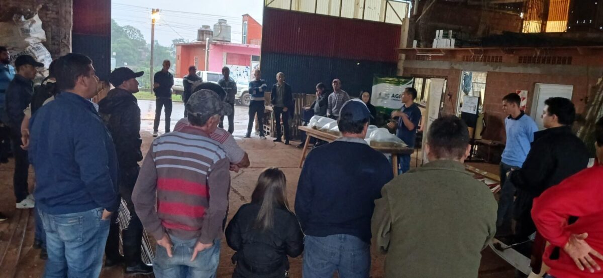 Misiones avanza con la actividad piscicola junto a productores provinciales 1 - 15