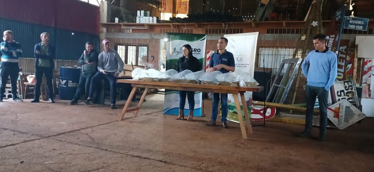 Misiones avanza con la actividad piscicola junto a productores provinciales 3 - 17