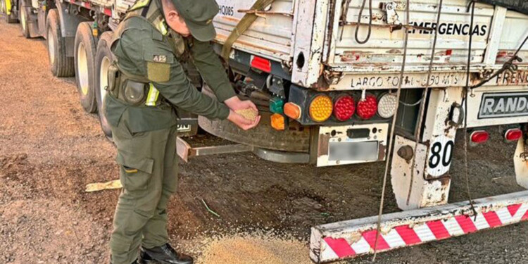 Secuestraron soja ilegal valuada en casi $17 millones con destino a El Soberbio