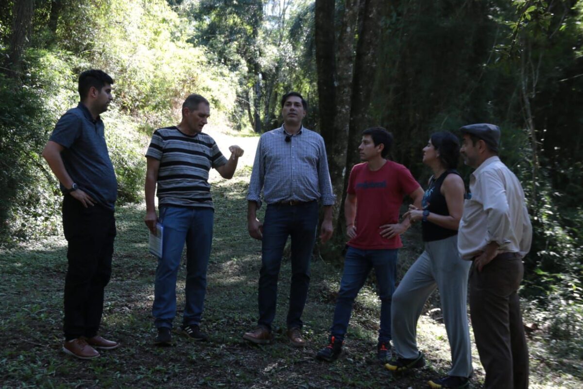 Sartori y Martín Recaman recorrieron Campo Grande y supervisaron proyectos ambientales