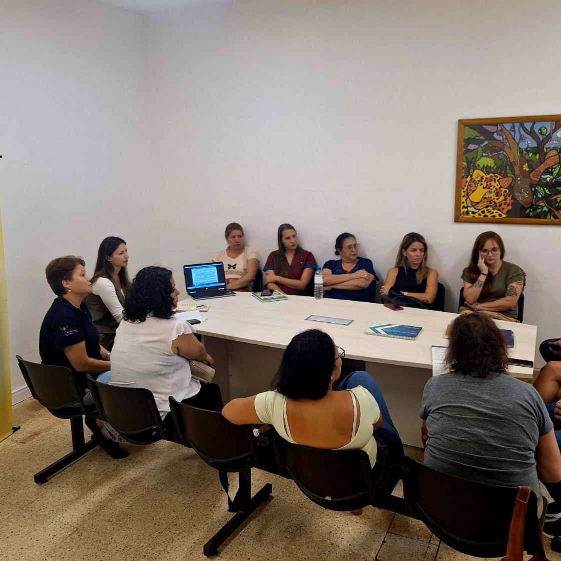 Se realizó el primer encuentro del Programa de Salud Mental para profesionales no especializados