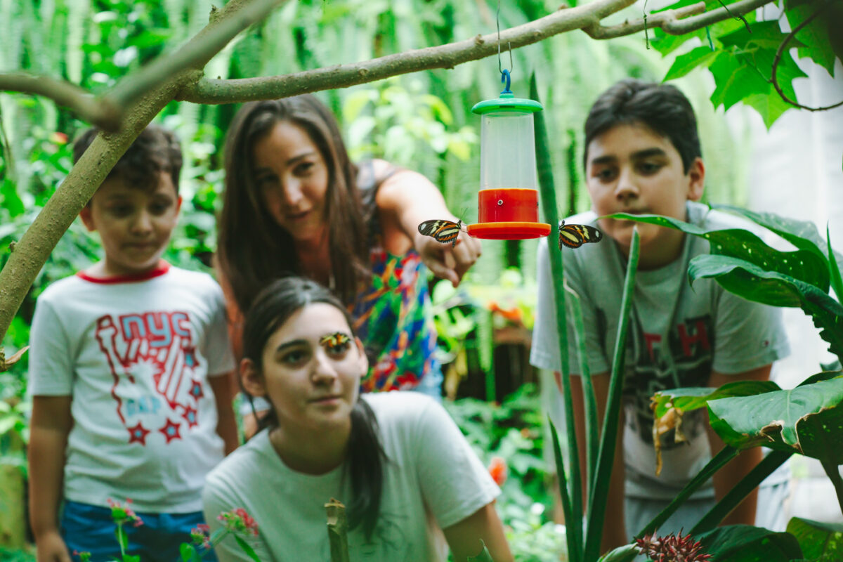 El Parque Temático De la Cruz celebra su 13° aniversario con múltiples actividades