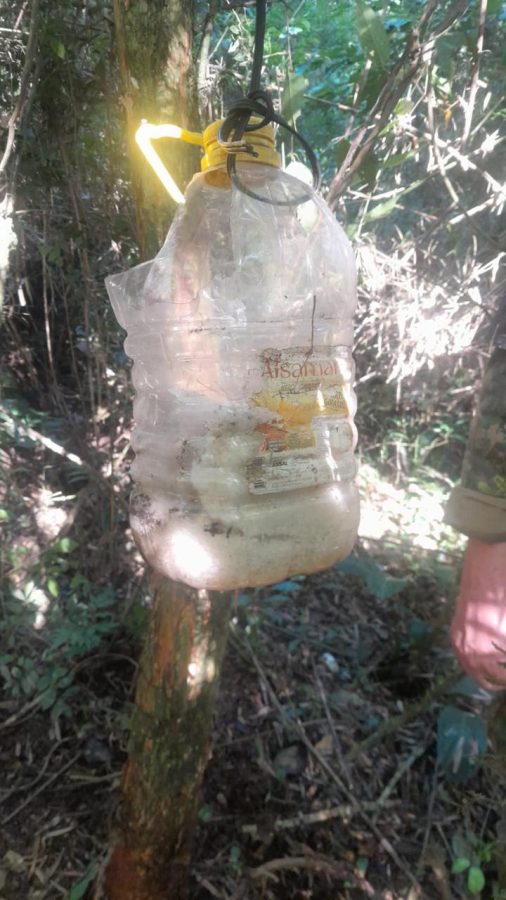 WhatsApp Image 2024 04 28 at 13.00.05 - 1