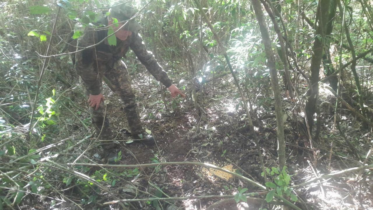 WhatsApp Image 2024 04 28 at 13.00.07 1 - 3