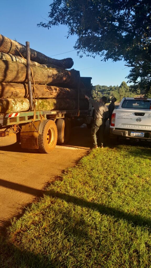 Día de la Tierra: Misiones intensifica acciones para conservar los bosques nativos