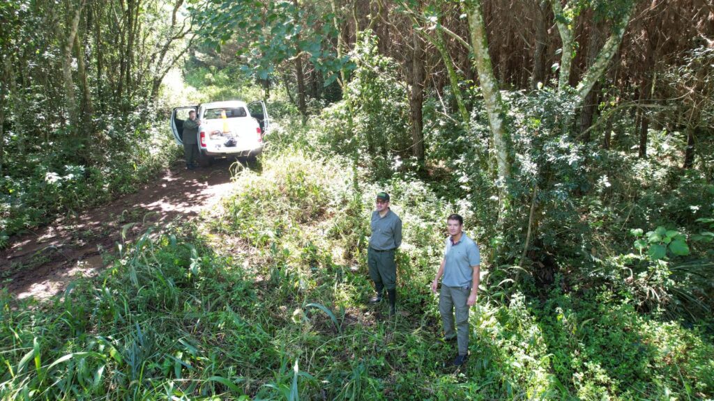 Día de la Tierra: Misiones intensifica acciones para conservar los bosques nativos